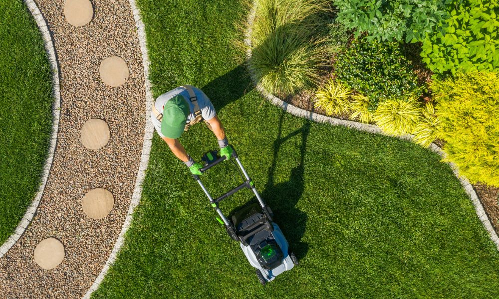 4 Reasons Why Hiring Professionals is Beneficial for Raking the Lawn