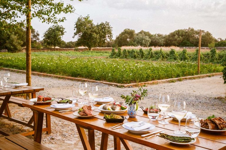 Bringing the Farm to Your Table by Exploring the Rise of Restaurants on Farms
