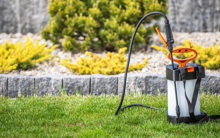 3 Signs You Need to Hire a Lawn Pest Exterminator for Your Yard