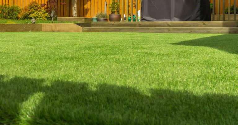 How a Lawn Leveling Service Can Transform Your Outdoor Space