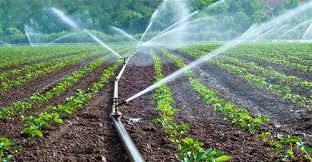 Top 6 Problems Irrigation System Experts Encounter and How They Fix It